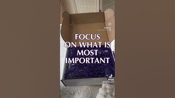 Unbox Your Future with Skin Script Professional Skin Care Pro Bundles