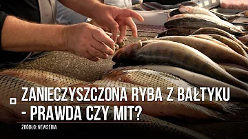 Jaké jsou děti ve znamení ryb?