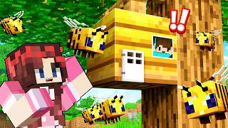 Download Lagu A LITTLE CAREFUL BOY SNEAKING INTO THE QUEEN BEE'S HIVE 🐝 MP3