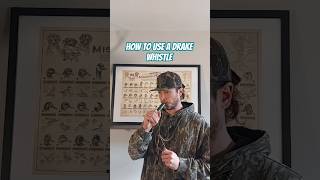 How to use a duck commander drake whistle.