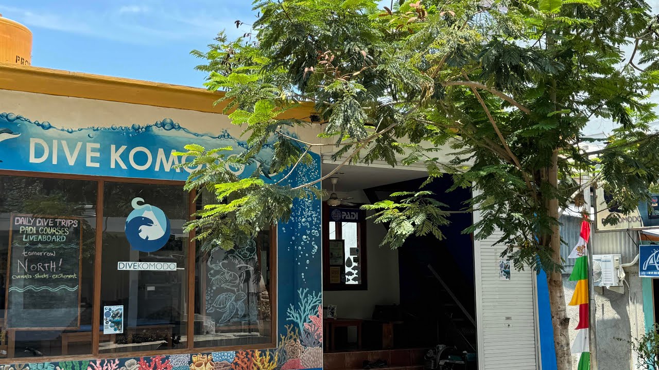 Diving with Dive Komodo in Labuan Bajo Oct 2024