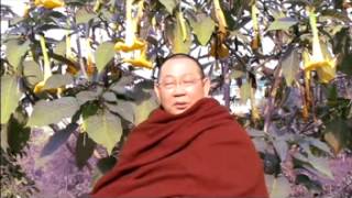 20130121 A MVI 3006 a what why meditation is