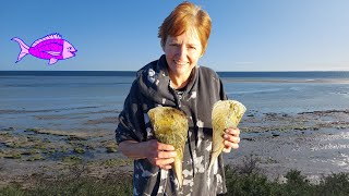 How to catch Razorfish Australia - Streaky Bay by fishing sister 2,169 views 2 months ago 8 minutes, 21 seconds