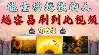 能量场越是强的人 越容易刷到此视频 有地雷【无牌感应式解读占卜】❣天使指導靈高靈宇宙的祝福指引信息領取好運無時間限製