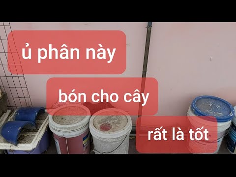 Video: Bạn có thể ủ phân cừu không?