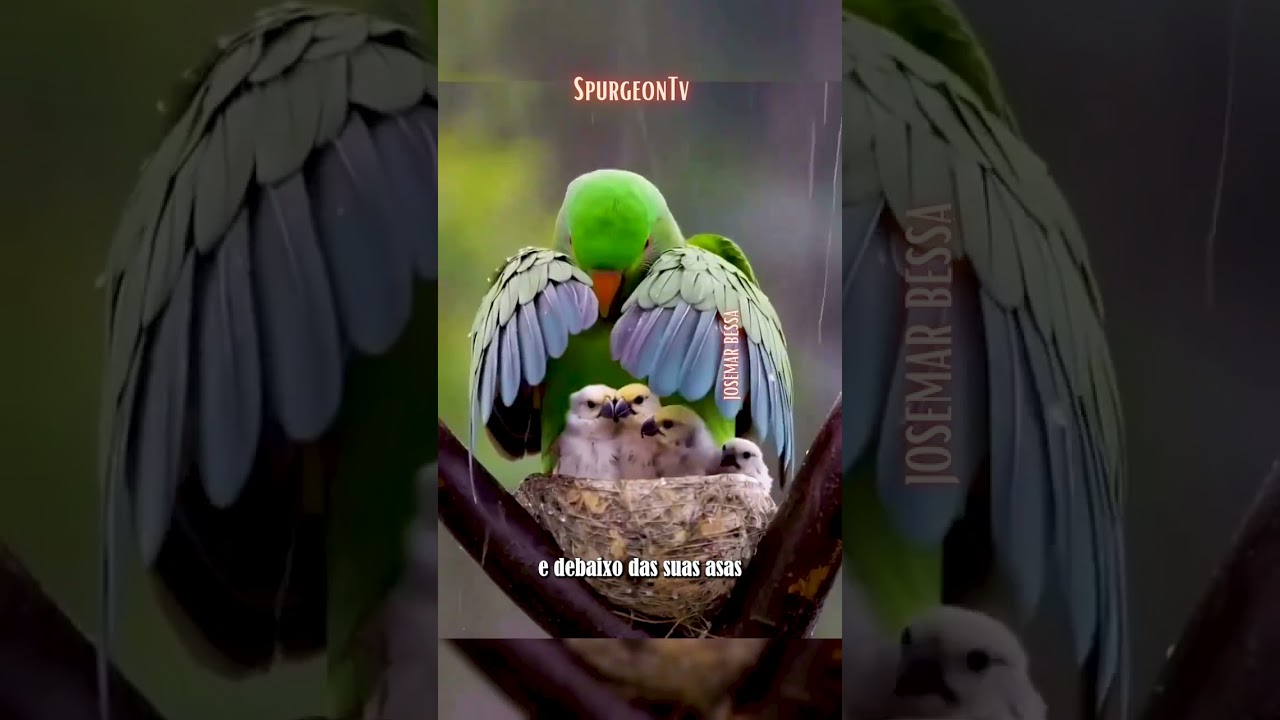 Estás com Medo? | SpurgeonTv #charlesspurgeon #josemarbessa