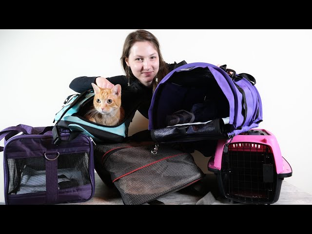 The 6 Best Backpack Cat Carriers of 2024, Tested and Reviewed