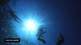 Teaching the Elements: WATER (Learning World S4E14, 3/3)