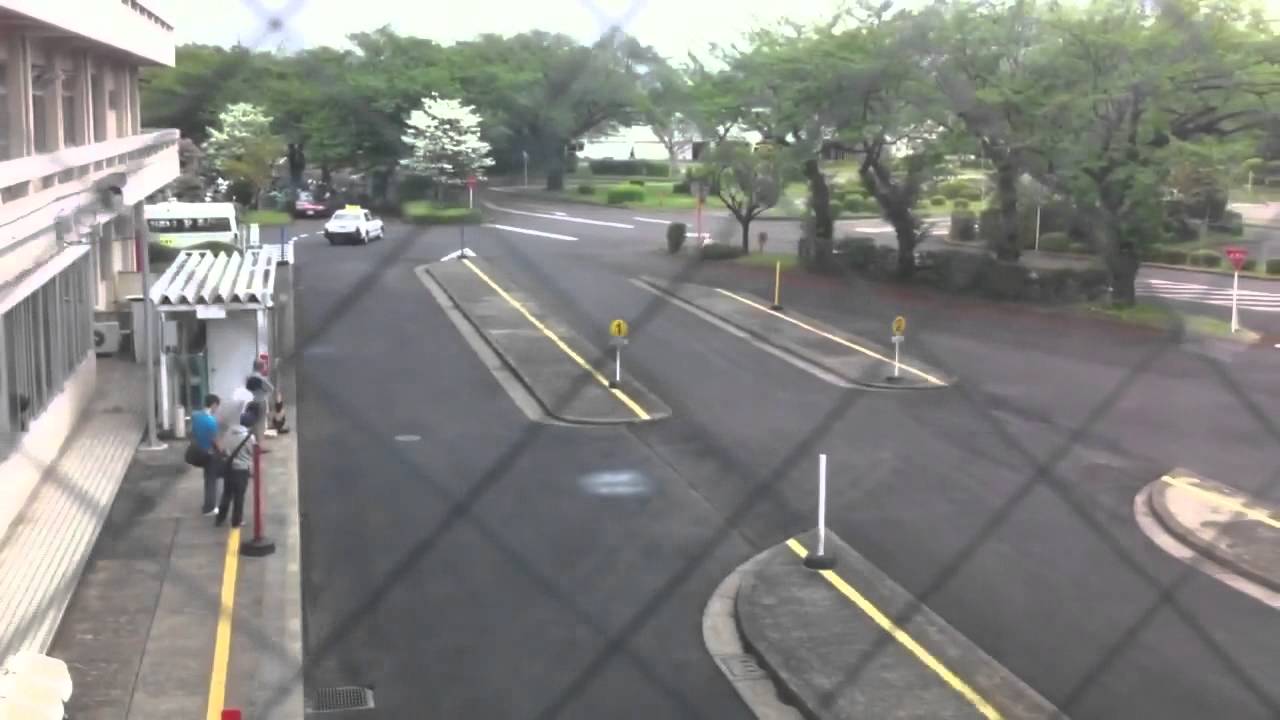 Licencia de Conducir en Japon [By JAPANISTIC]