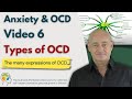 Types of OCD Explained Clearly  - Help to understand symptoms, treatment & recovery