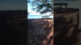 visiting jolly hall beautiful beach in EXuma