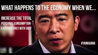 Increasing Total Personal Consumption Expenditures with UBI? | Andrew Yang | Econ Major Explains