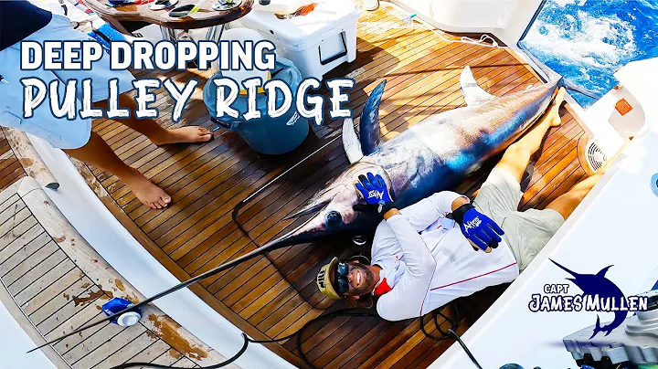 Deep dropping and swordfishing in Pulley Ridge!!!