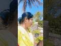 dino sare nahi #viralshort #song #love#odia