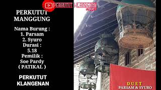 PARSAM duet dengan SYURO | PERKUTUT MANGGUNG PART #2
