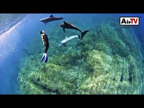 福岡の海でドルフィンスイム vol.2