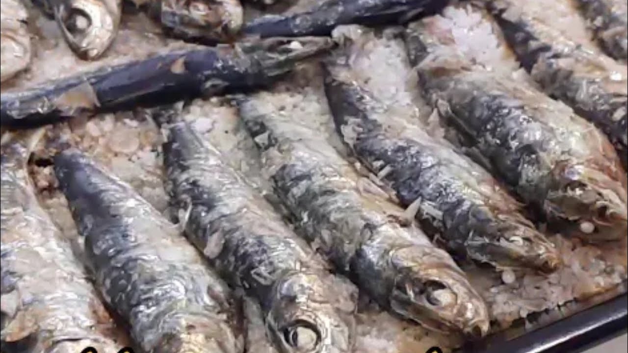 سمك السردين مشوي في الفرن شهوة منو بطريقة جد سهلة بدون تعب من تقديم نادية الفاسية