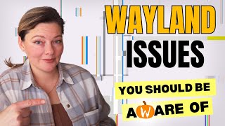 Will These Wayland Problems Still Exist in 2100? #wayland #linux