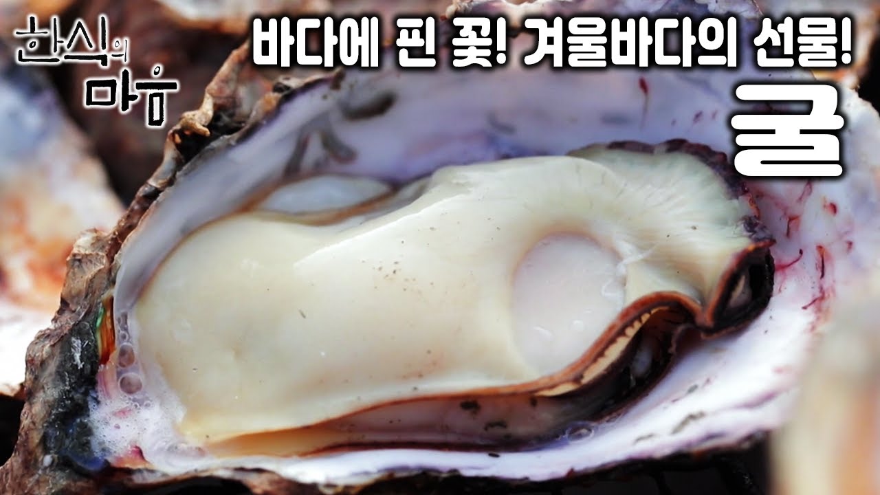 [한식의 마음] 전라남도 고흥군 굴 토속 음식과 다양한 굴 요리를 만나러 간다. (KBS 20171227 방송) - YouTube