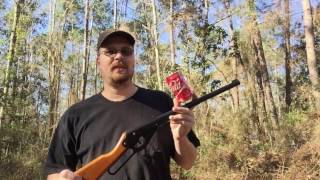 10-Tin-10 BB Gun Challenge (Tin Can, 10 hits 10 Yards) Daisy BB Gun.