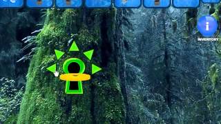 Rainy Forest Escape Video Walkthrough