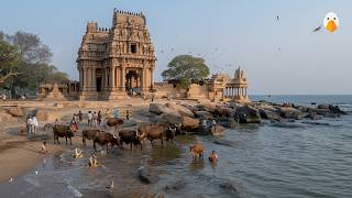 Mahabalipuram, India🇮🇳 Ancient Temples and Rock Carvings Over 1300 Years Old (4K HDR)