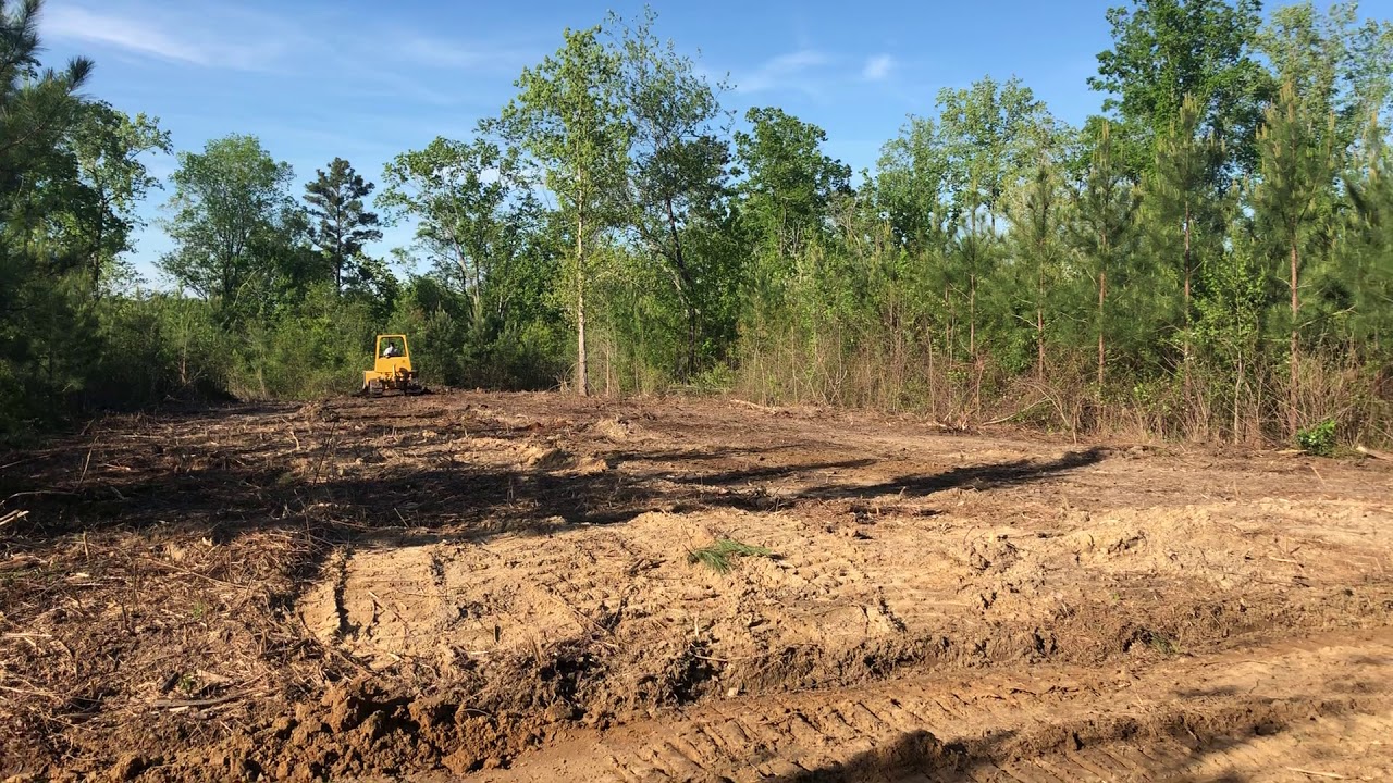 Cold Springs 40 Acres Land For Sale in Alabama