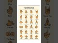 Hand Gestures #vocabs #education #trending #englishvocabmastery #english