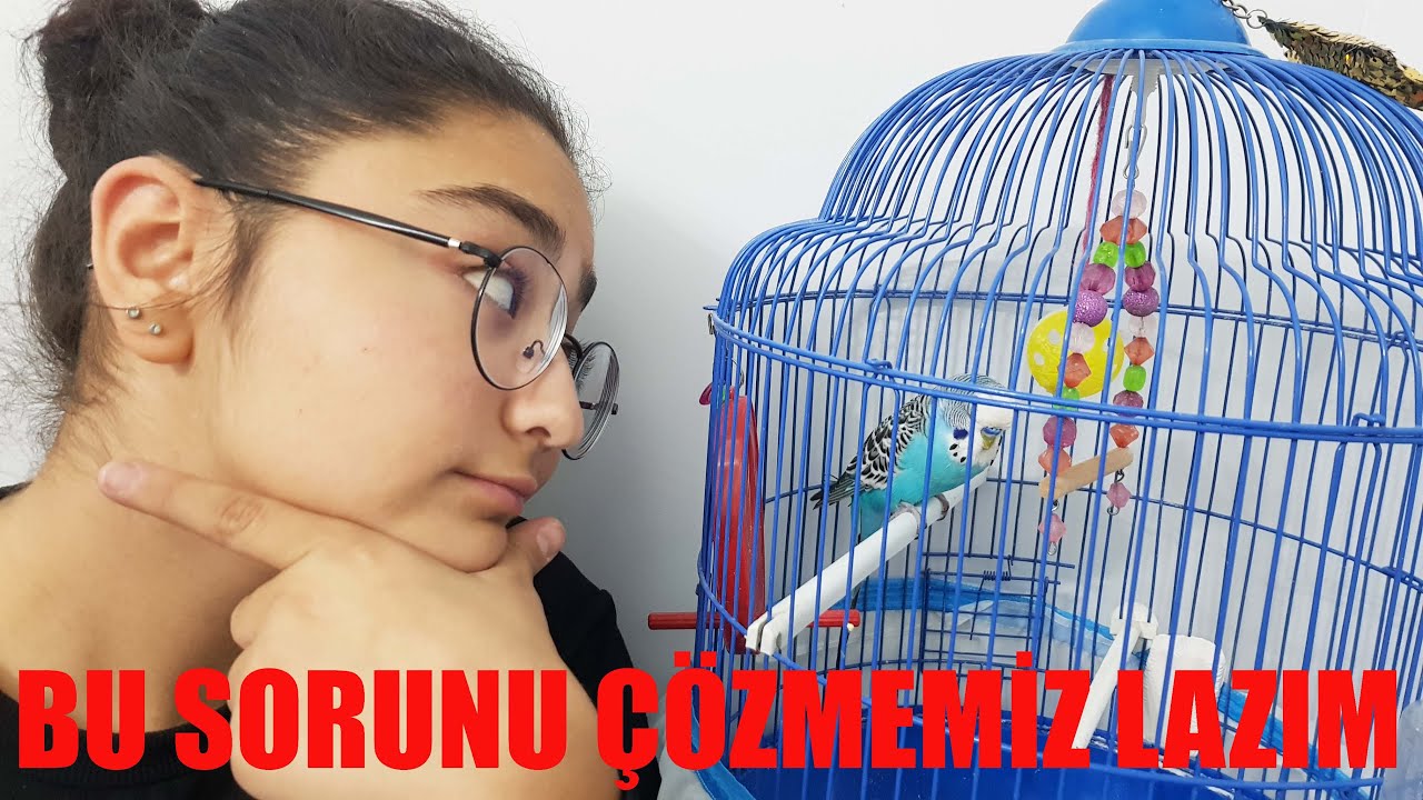 GEL BURAYA SÜHEYLA / BİR YANLIŞ ANLAŞILMAYI DÜZELTELİM YouTube