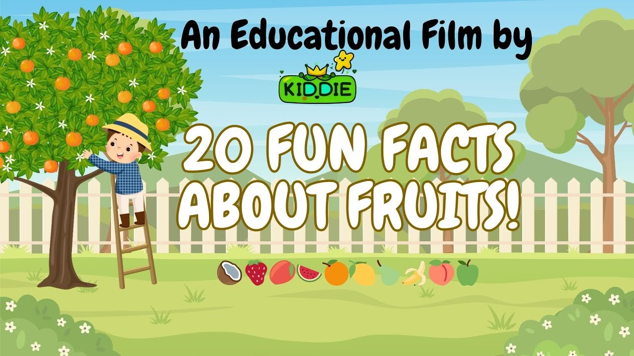 🫐 Discover 20 Fruit Fun Facts 🍊🍓🍉:  Funny Fruits Videos for Kids to Learn