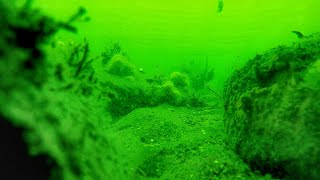 Dropped a Gopro Under My Boat and What I Saw Blew My Mind!