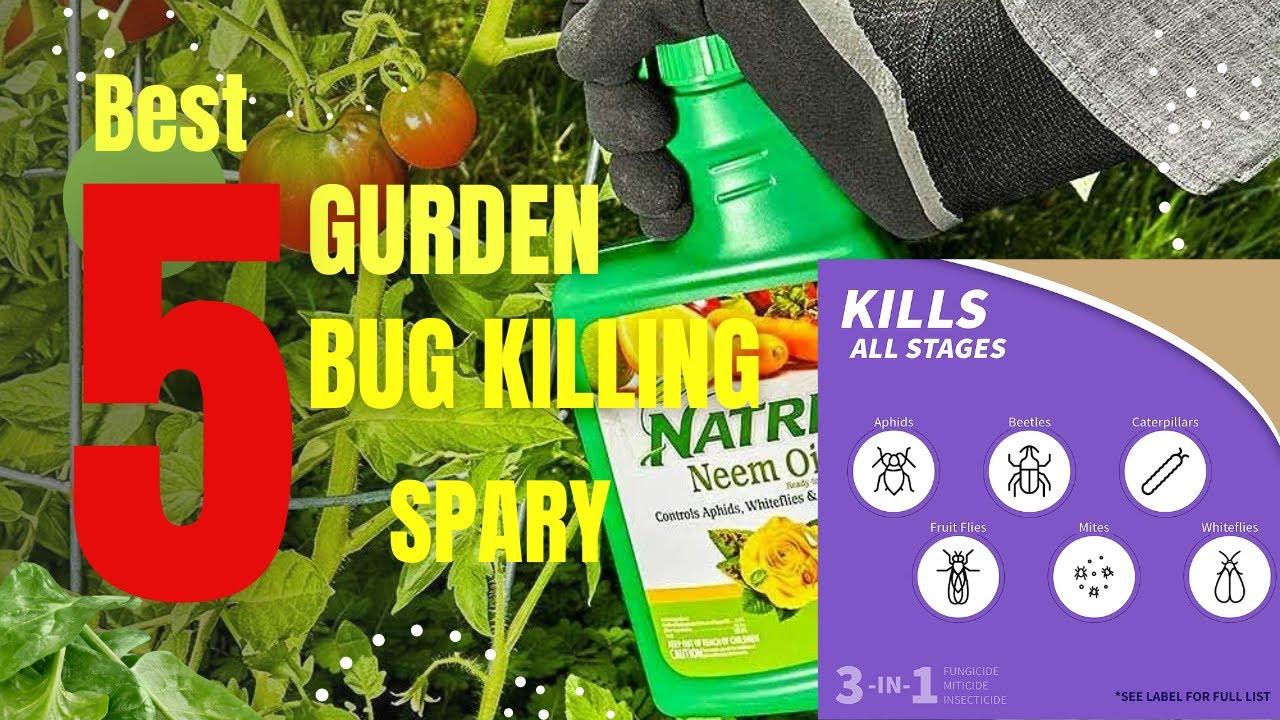 Top 5 bug killing spray || Best bug spray for the garden