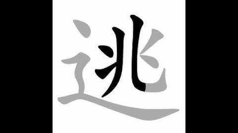 how to write chinese 逃丨Chinese stroke order中文汉字笔顺动画