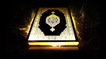 الشيخ توفيق الصائغ  - سورة المسد