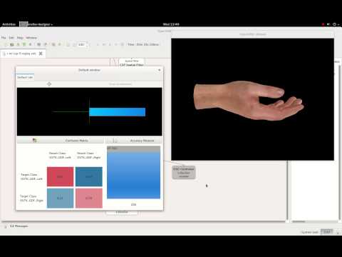 OpenViBE + OpenSoundControl (OSC) + LibHand Demo