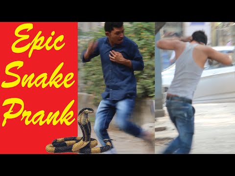 epic-snake-prank-|-prank-gone-wrong-||-prank-in-india-||-losers-tv