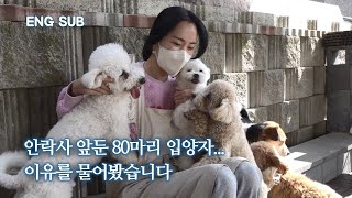 We met an adopter who has brought more than 80 abandon dogs within two years | WOOJOO EP.1 by 개st하우스 - 사연 있는 유기동물 채널 340,808 views 2 months ago 7 minutes, 14 seconds