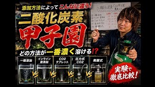 Experiment] The CO2 Koshien! Let the games begin! - YouTube