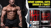 7 SIDE EFFECTS You Will Experience Taking ANIMAL CUTS! - YouTube