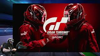 Gran Turismo Sport PS VR con Volante g29 y palanca Logitech