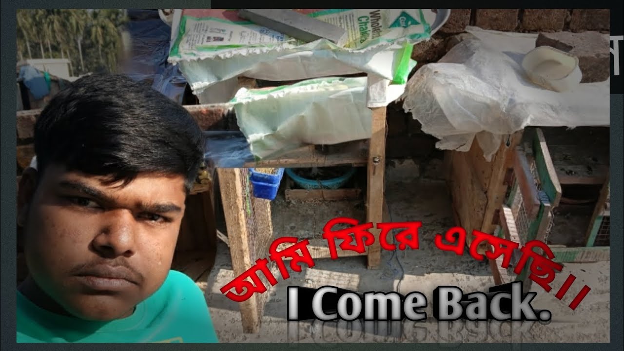 আমি ফিরে এসেছি ।  I Came Back. My pigeon life.
