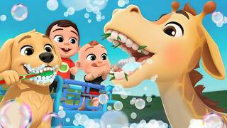 Dirty Teeth No More! Baby Cleans the Animals’ Smiles 🐻🪥😁