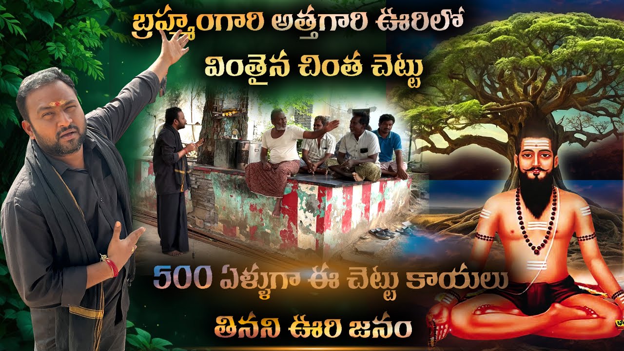 500 ఏళ్ళుగా బ్రహ్మంగారి అత్తగారి ఊర్లో ఈ చింత చెట్టు కాయలు ఎవరు తినట్లేదు - Brahmam Gari Tree !