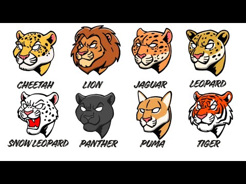 Every BIG WILD Cat Explained in 13 Minutes