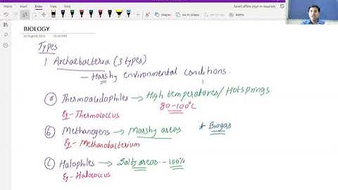 zoom class 5- bridge course