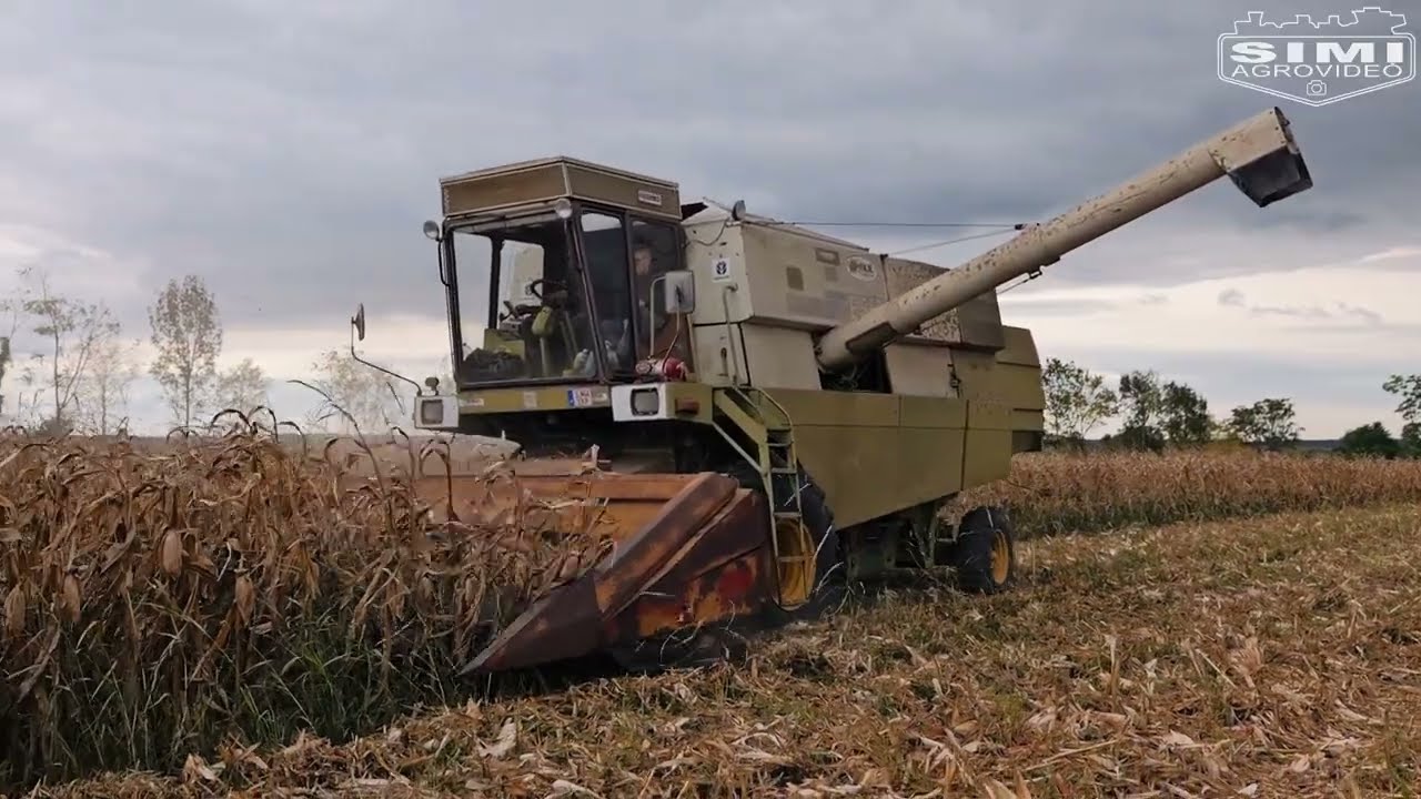 Kukorica aratás/Corn Harvest : Fortschritt MDW E517 + OROS 6013 SA, 2 X MTZ + MPB 6,5