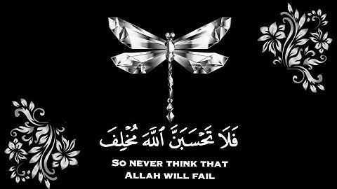 حالات واتس قران ❤️ || نايف الفيصل حالات واتس || قران كريم بصوت جميل❤️✨