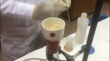 Preparation of Acetanilide // An Aniline derivative // Organic chemistry lab