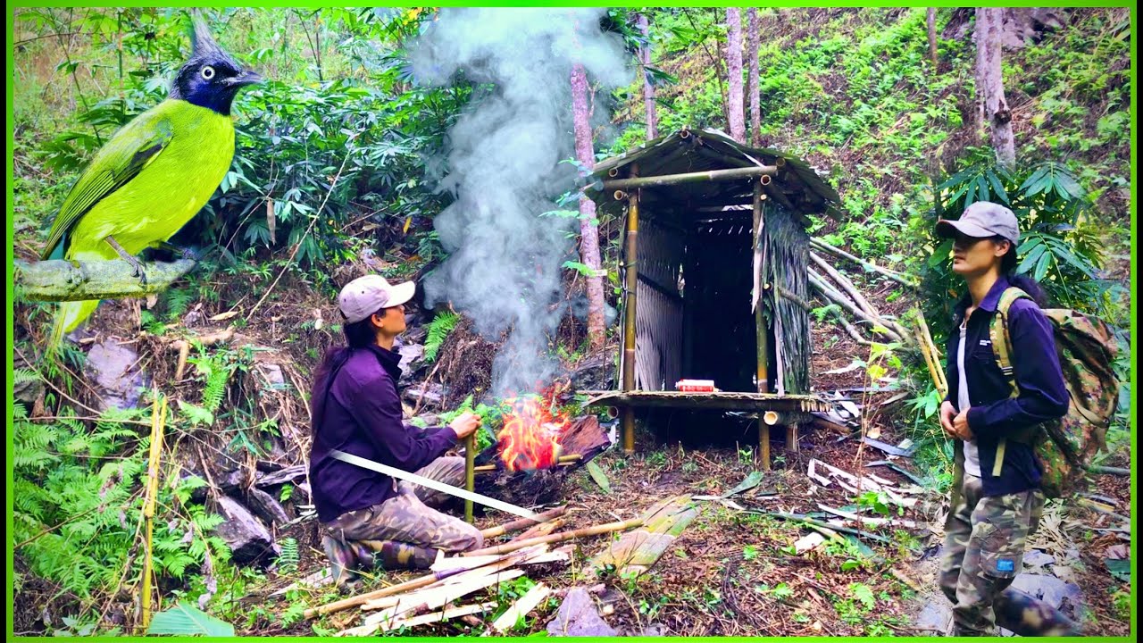 Survival Alone - 7 days of survival in the forest, building shelter ...