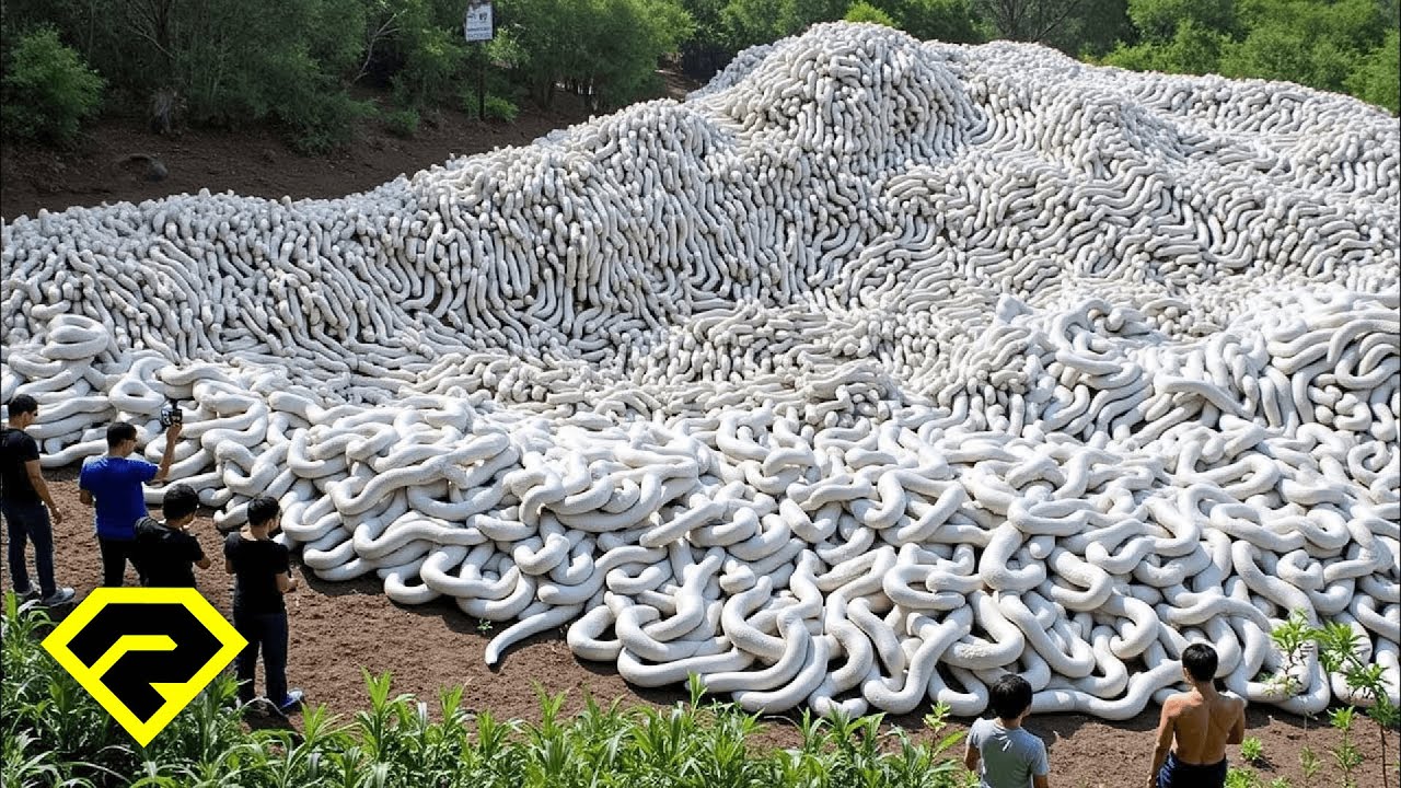 TOP 50 Kejadian ANEH & MISTERIUS di Dunia yang Berhasil Terekam